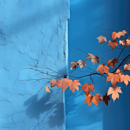 Autumn leaves on blue wall background.の素材