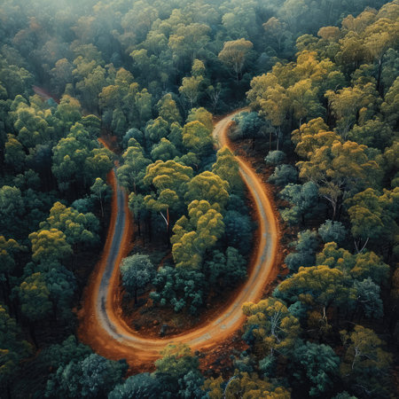 Aerial view of a road through the forest. Drone photography.の素材