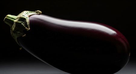 Eggplant on a black background, close-up, selective focusの素材