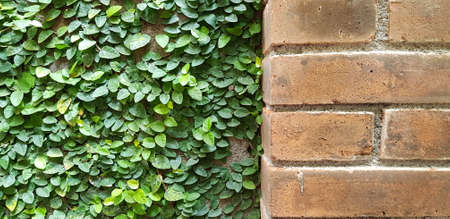 Beautiful statue of a Balinese dancer in a tourist attraction in Bali dancerの写真素材