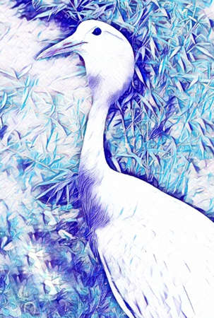Digital artistic painting of a crane bird with colourful bamboo background, good for your digital background templateの写真素材
