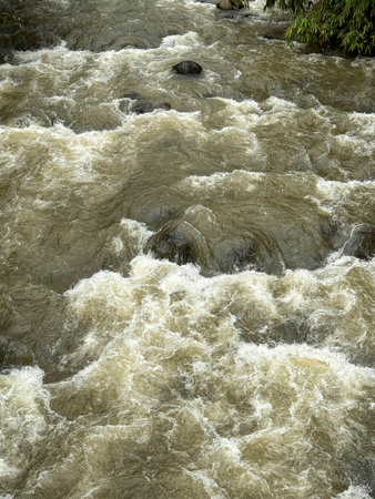 Natural river stream in Bogor tropical forest in Asia, beautiful scenery of water flowingの写真素材