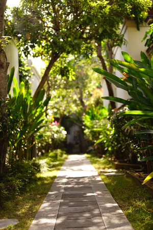 Beautiful green tropical garden outdoor veranda with ecological plants surrounded nature in Asia, Bali Indonesiaの写真素材