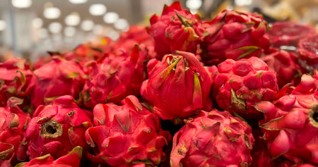 Fresh produce of dragon fruits or Hylocereus undatus 0r buah naga in Indonesian at the local market,...