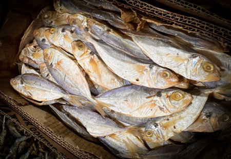salted sun dried fishes or locals called as ikan asin, one of ancient methods to preserve fish for human consumption, a traditional comfort food in Indonesian Cuisineの写真素材