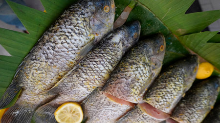 Whole range Guorami fish prepared for cooking or sale in supermarket are neatly arranged on banana leaves and garnished with lemons, this setup highlights seafood, tropical cuisine, and fresh ingredients for meals.の写真素材