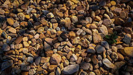 texture of a natural assortment of pebbles and river stones in warm earth tones, ideal for...