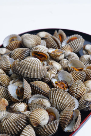 Small Clam Shells or called kerang darah in Asia On Black Plate Create Coastal Seafood Display For...
