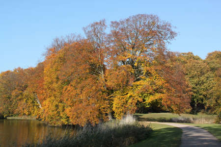 Frederiksborg parkの写真素材
