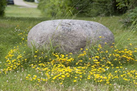 Stone in the grassの写真素材