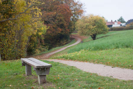 Winding path in park and benchの写真素材