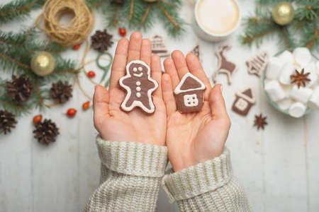 Christmas, New Year's background, flat-lay. a girl in a woolen sweater is holding cookies on a white background, with cones of Christmas trees, candies, marshmallows and biscuitsの写真素材