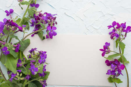 Flowers empty space for inscription