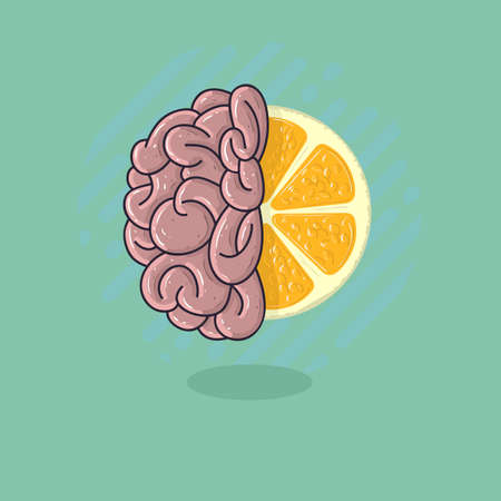 Human Brain Combined With A Citrus Fruit. Refresh Your Creativitのイラスト素材