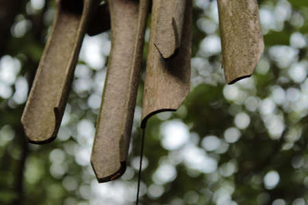 Hanging Decorative Pendants Green Forest Leaves And Branches Background Photo Shot.の写真素材
