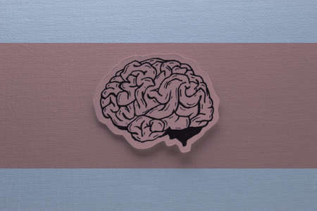 Human Brain Hand Drawn Inked Paper Cutted Art
