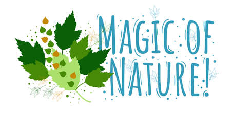 Magic Of Nature Floral Abstract Design with Plants Leaves On a White Backgroundのイラスト素材