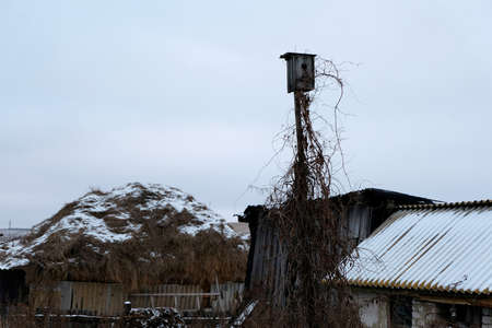 Life without peopleの写真素材