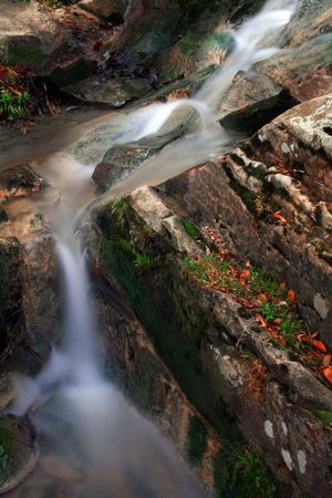 Little mountain stream