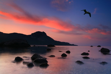 Flying over the dawnの写真素材