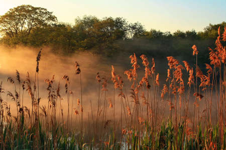 Misty dawn over Lake Forestの写真素材