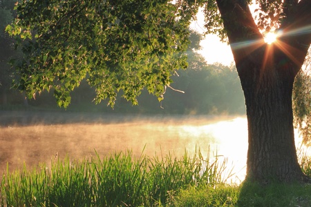 Misty dawn at the lakeの写真素材