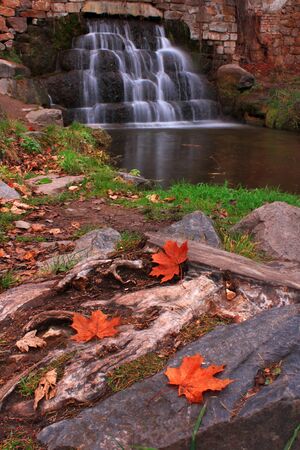 Autumn waterfall with maple leaves
