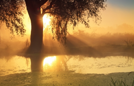 Sunbeams in misty morning on the riverの写真素材