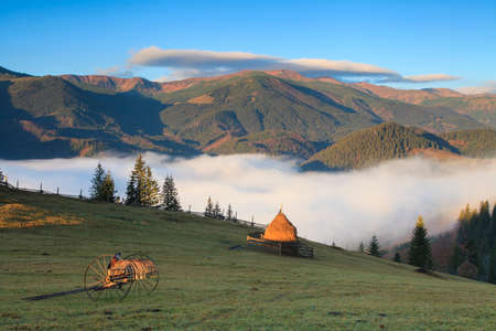 View of misty fog mountains in autumn, Carpathians, Ukraine の写真素材