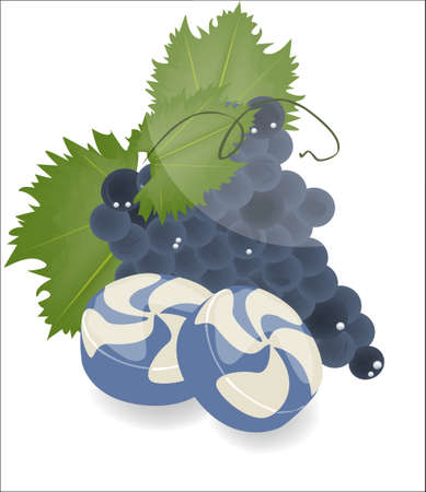 Fruit candies on a white background のイラスト素材