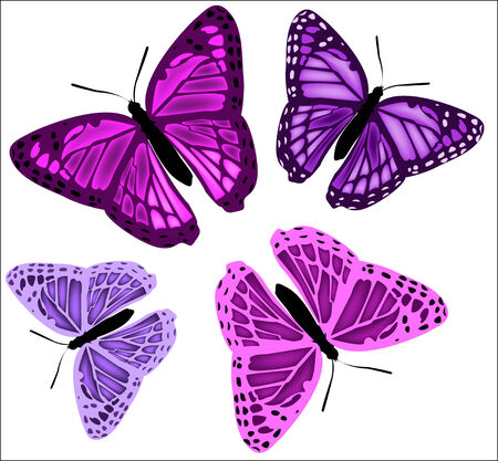 set of butterflies of different colors on a white background のイラスト素材