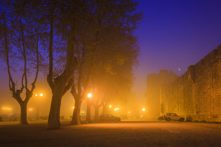 Evening park near the walls of Aigues-Mortes. France. Languedoc. Camargue.の写真素材
