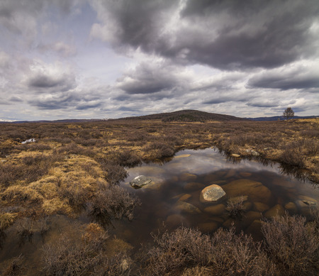 Marshland on the background of mountain scenery and the rain clouds.の写真素材
