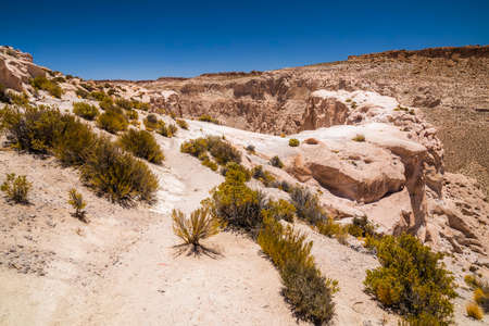 Canyon in the desert in Altiplano, Bolivia. South Americaの写真素材