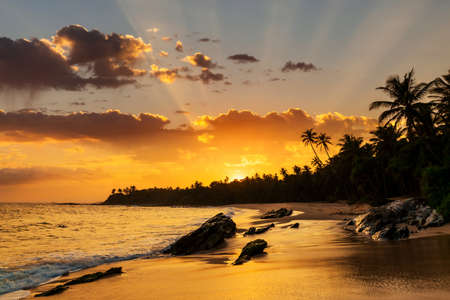 Beautiful sunset on the beach in a tropical resort in the Caribbeanの写真素材