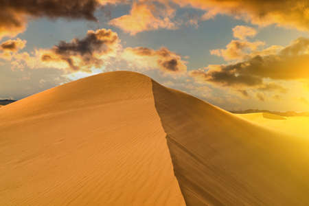 Sunset over the sand dunes in the desert. Arid landscape of the Sahara desertの写真素材