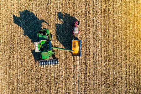 Aerial view of harvester harvesting corn in the fieldの写真素材