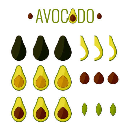 Bright vector set of avocado elements. Isolated on white background. EPS10のイラスト素材