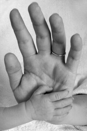 baby and mother's handの写真素材