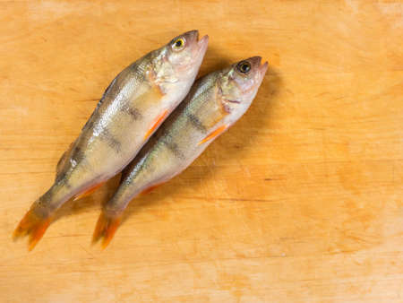 Fresh fish. Fresh river fish perch. On a yellow wooden background. Top viewの写真素材