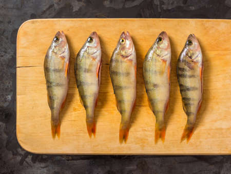 Fresh fish. Fresh river fish perch. On a yellow wooden background. Top viewの写真素材