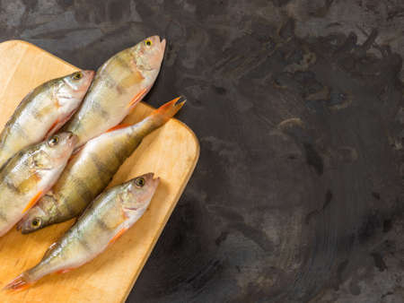 Fresh river fish perch. On a black background. Free space for text . Top viewの写真素材