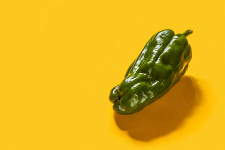 Green pepper on yellow background. Minimalistic bright food background. Copy spaceの写真素材