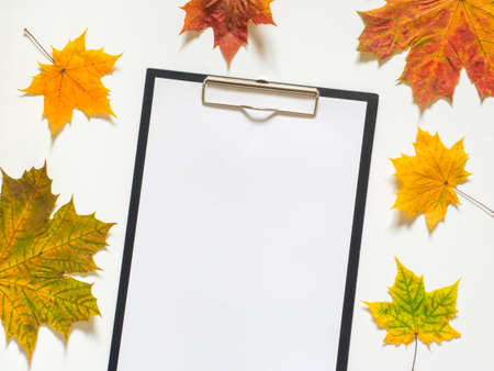 Autumn composition of yellow maple leaves and blank papper on white background. Flat lay, top view, copy spaceの写真素材