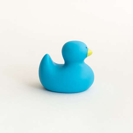 Toy blue rubber duck isolated on white background.の写真素材