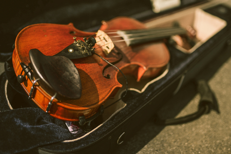 Musical instrument violin in footbearの写真素材