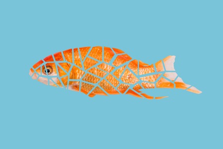 Golden fish is cut into small particles. Details of fish on a year background. Modern concept, pop...