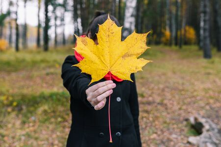 A young girl on an outstretched hand holds an autumn leaf. In the background forestの写真素材