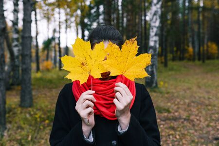 A young girl in a black coat and a red scarf holding autumn leaves in her hands. In the background forestの写真素材