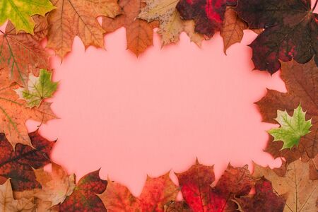 Red, orange and green autumn leaves. Autumn composition. Multi-colored maple leaves. Copy space....